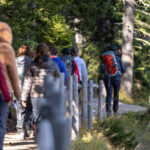 Team building bosco - dolometes.it